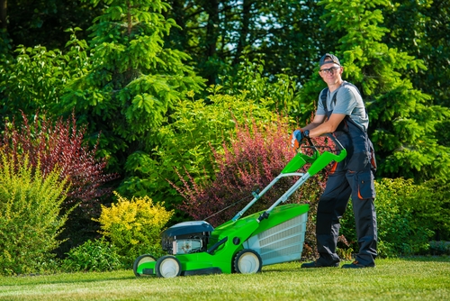 Lawn Care - Grass Mowing