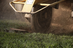 Stump Grinding - Galesville, MD